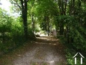 allée menant à la pension pour chiens