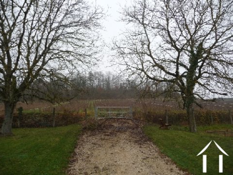 Située près des vignes