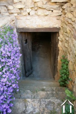 Cellar
