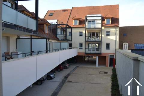 cour