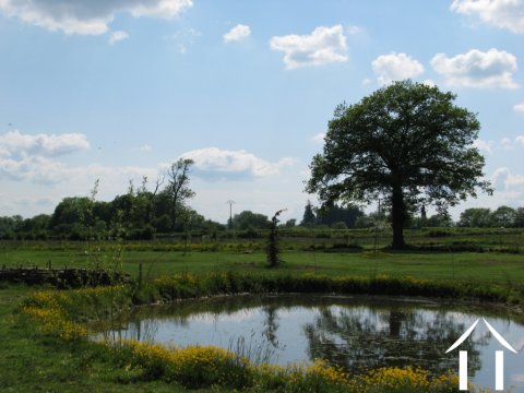 overlooking the pond
