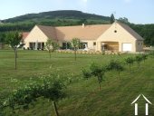 Large modern house  classical design surrounded by vineyards