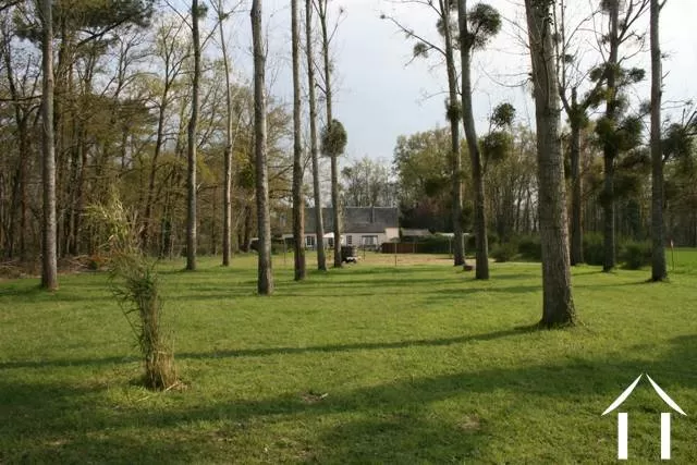 La propriété se situe dans les jardins matures à l'avant et à l'arrière et comprend quelques régions boisées. Cette photo montre la longueur du terrain/jardin arrière.   