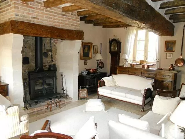 Le salon pour s'assoire avec sa cheminée et son poële à bois (incluse).      