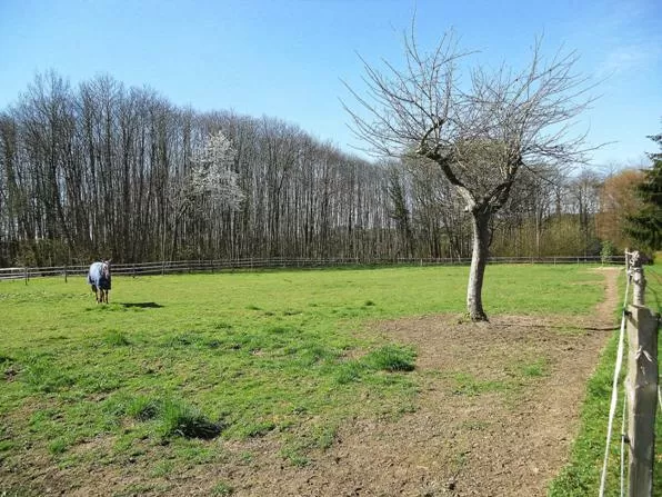 Cottage  à vendre mayet, pays de la loire, P1297 Image - 4
