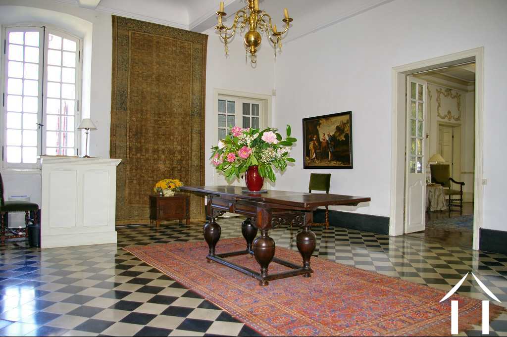 Châteaux, domaine à vendre mazamet, midi-pyrénées, 11-2214 Image - 11