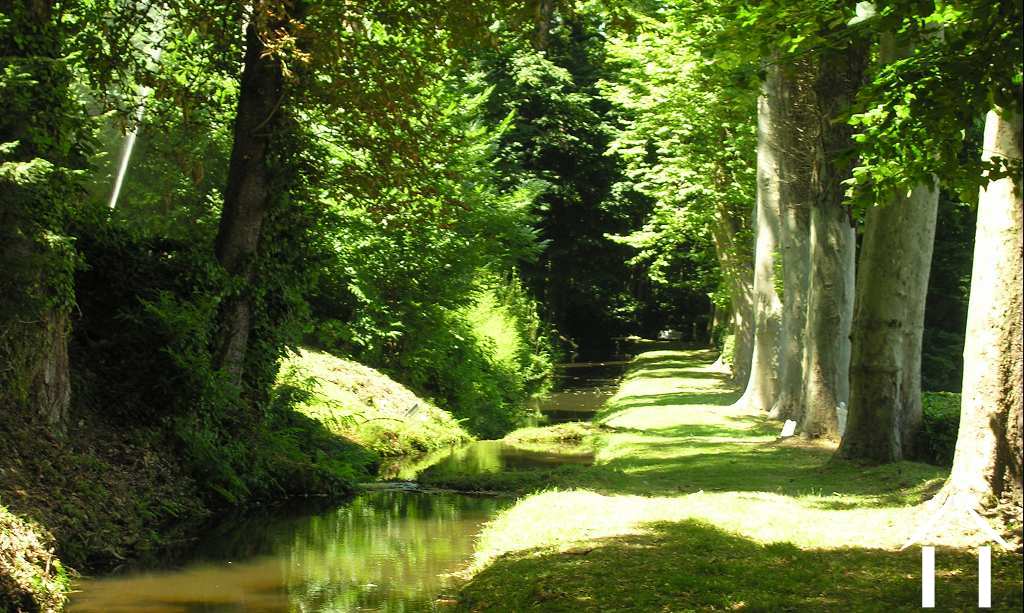 Châteaux, domaine à vendre mazamet, midi-pyrénées, 11-2214 Image - 14