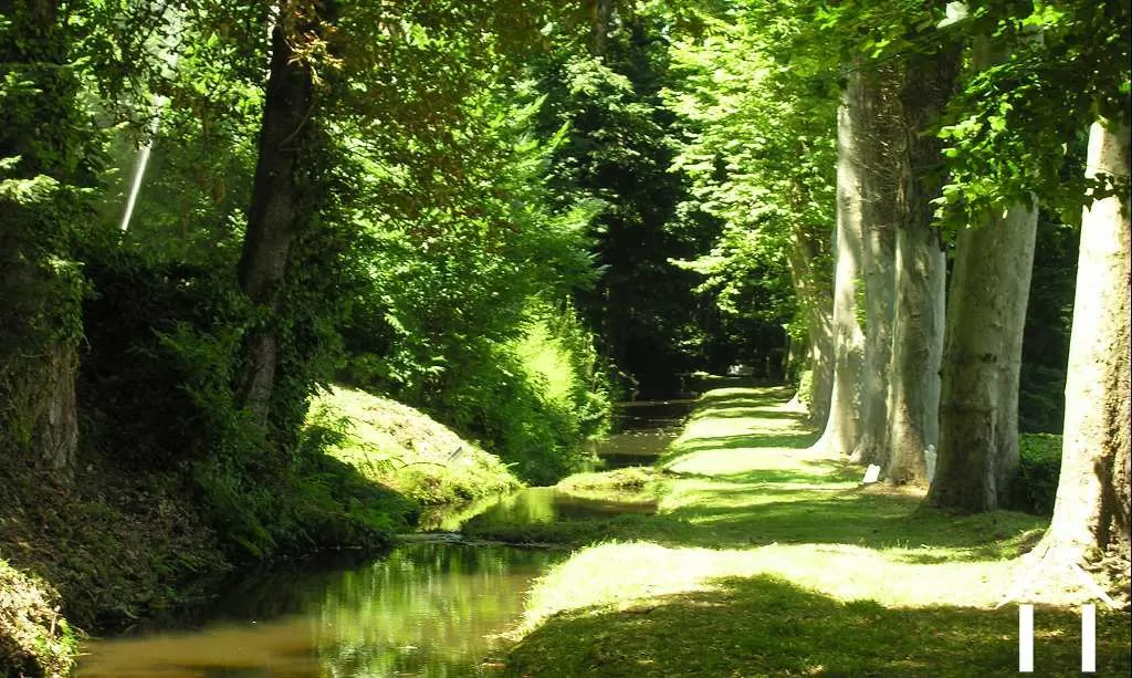 Châteaux, domaine à vendre mazamet, midi-pyrénées, 11-2214 Image - 14