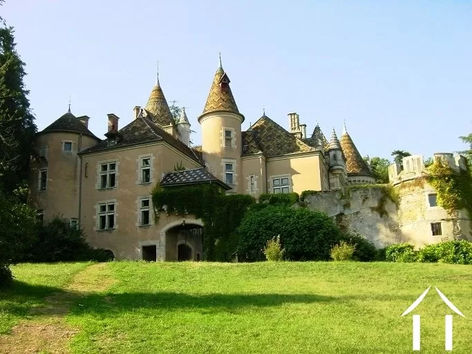 Châteaux, domaine à vendre st gengoux le national, bourgogne, JP4644S Image - 6