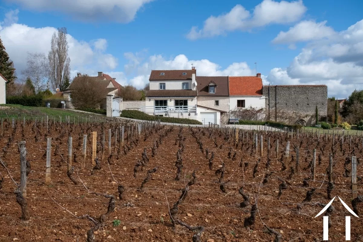 Maison en pierre à vendre santenay, bourgogne, BH5154V Image - 21