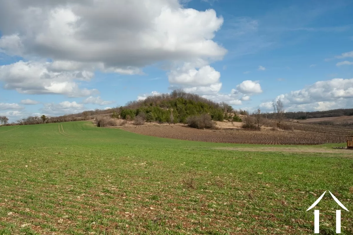 Maison en pierre à vendre santenay, bourgogne, BH5154V Image - 23
