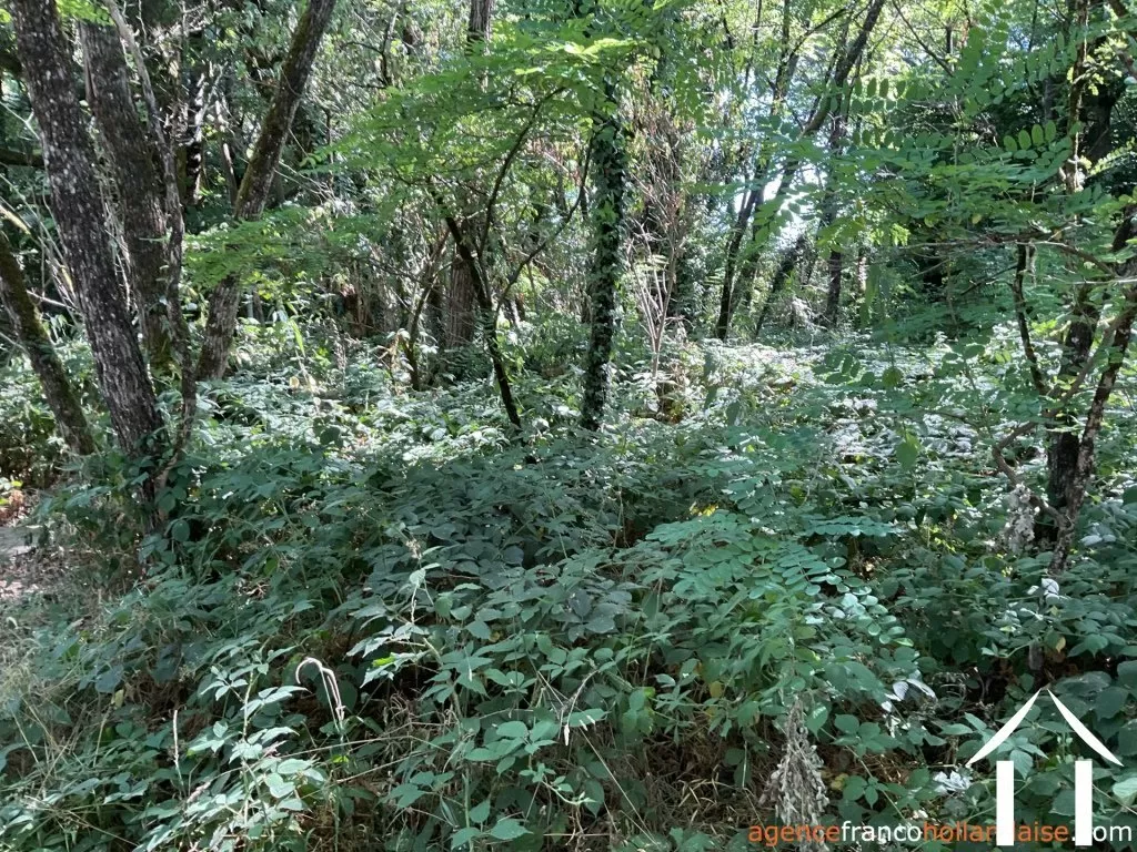 Maison à vendre , Li1003 Image - 38