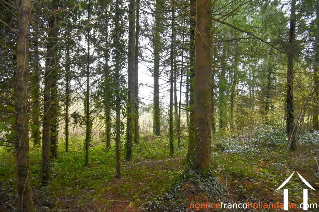 Maison à vendre st amand jartoudeix, limousin, Li1024 Image - 40