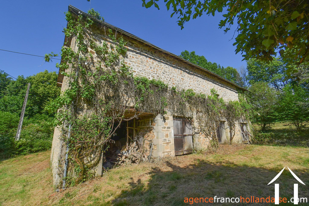 Propriété 1 hectare ++ à vendre la croisille sur briance, limousin, Li1059 Image - 24