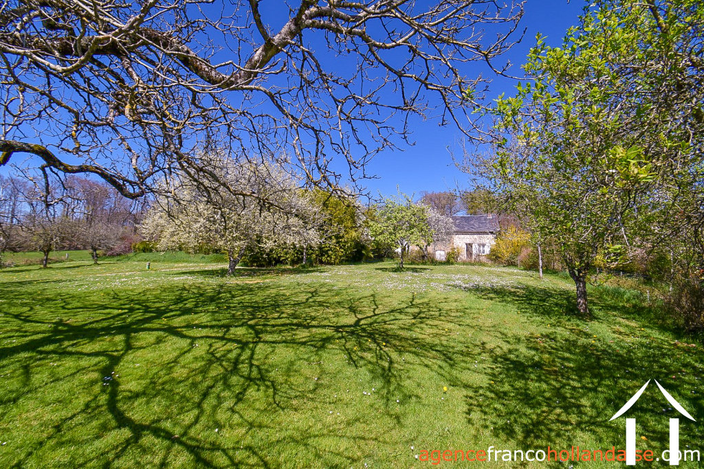 Propriété 1 hectare ++ à vendre la croisille sur briance, limousin, Li1061 Image - 37