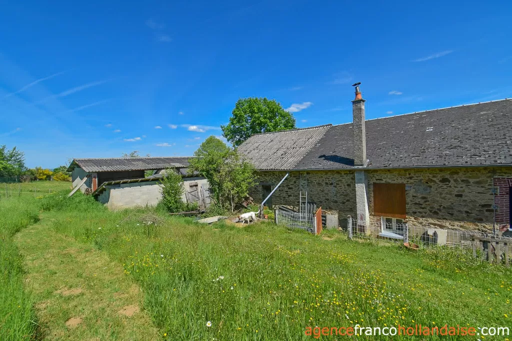 Propriété 1 hectare ++ à vendre chateauneuf la foret, limousin, Li1062 Image - 45