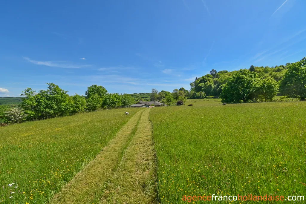 Propriété 1 hectare ++ à vendre chateauneuf la foret, limousin, Li1062 Image - 57