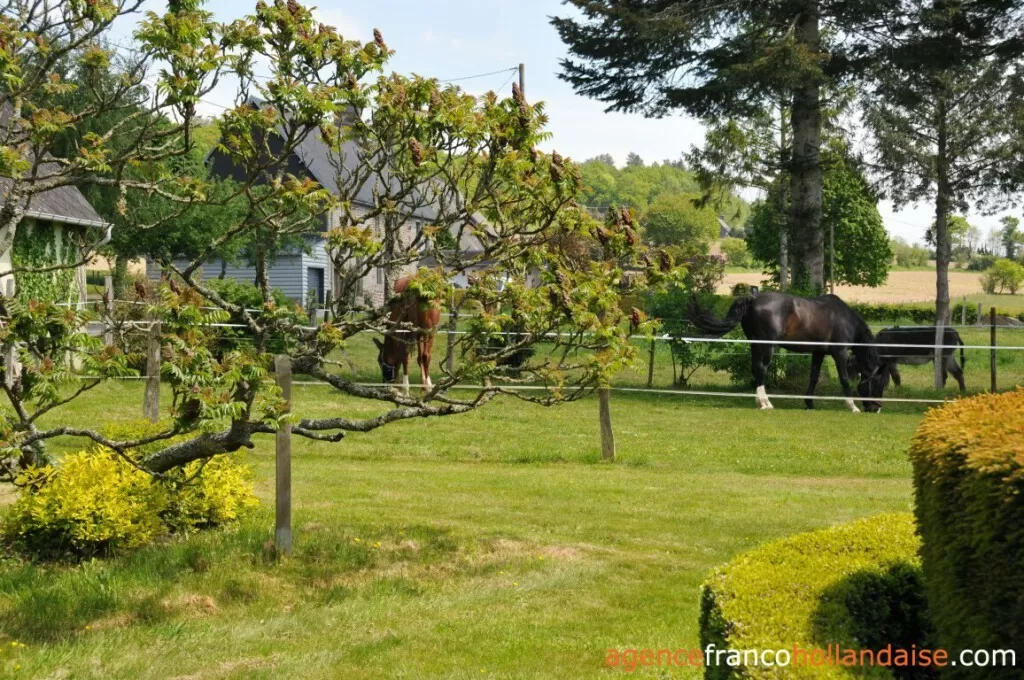 Maison à vendre landelles et coupigny, basse-normandie, Li1066 Image - 26
