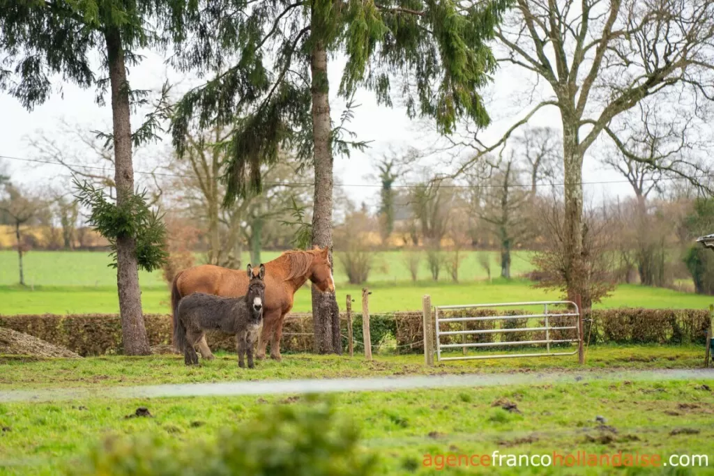 Maison à vendre landelles et coupigny, basse-normandie, Li1066 Image - 33
