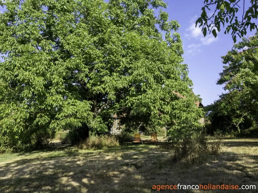 Maison avec gite à vendre lubersac, limousin, Li1070 Image - 38