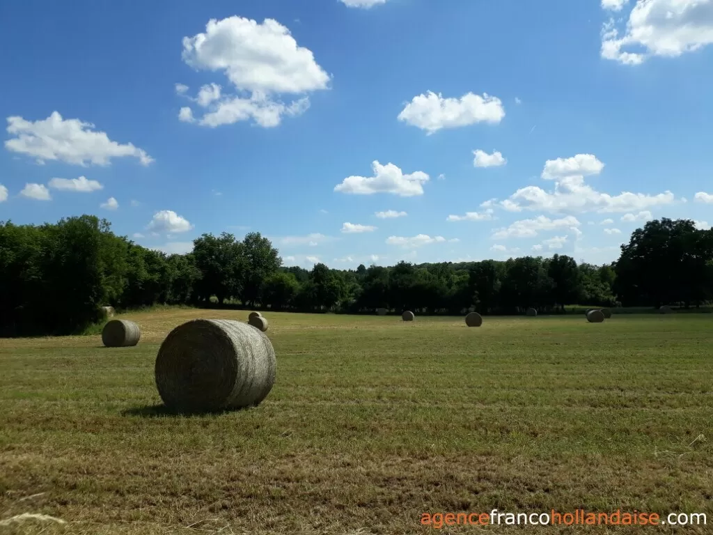 Maison avec gite à vendre lubersac, limousin, Li1070 Image - 39