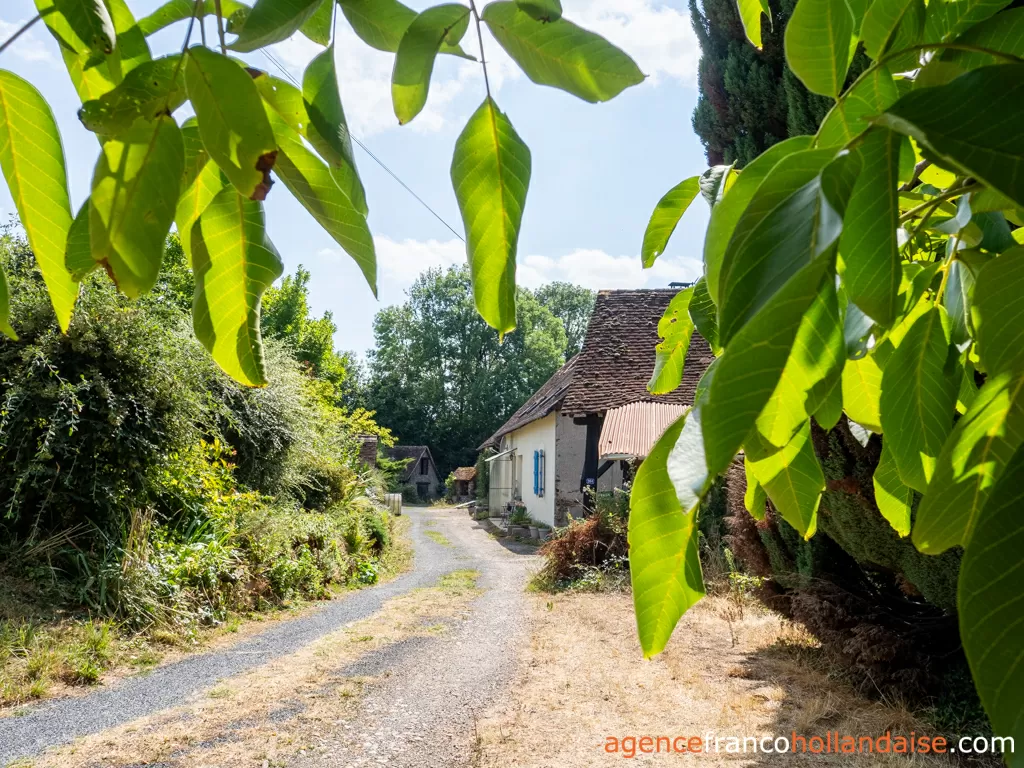 Maison avec gite à vendre lubersac, limousin, Li1070 Image - 3