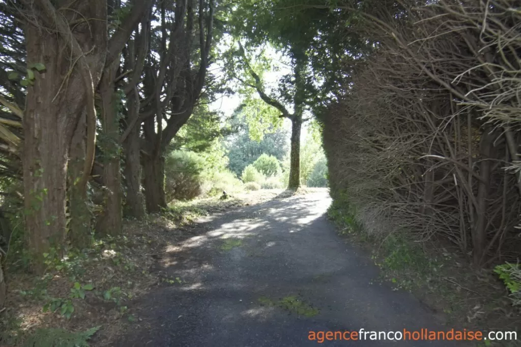 Maison à vendre meilhards, limousin, Li1071 Image - 29