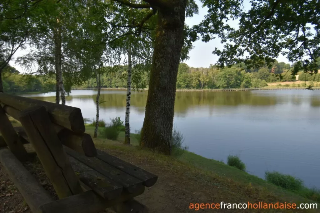 Maison à vendre meilhards, limousin, Li1071 Image - 33