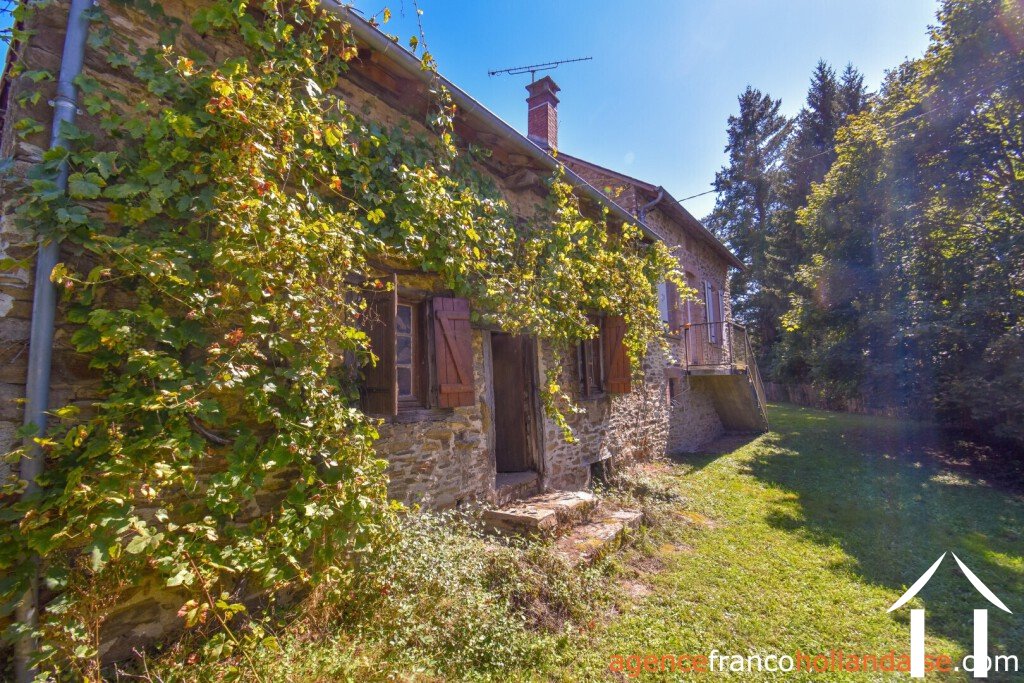 Maison avec gite à vendre neuvic entier, limousin, Li849 Image - 43