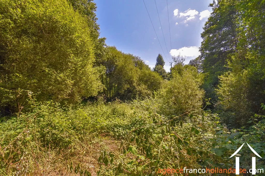 Maison à vendre nedde, limousin, Li913 Image - 40