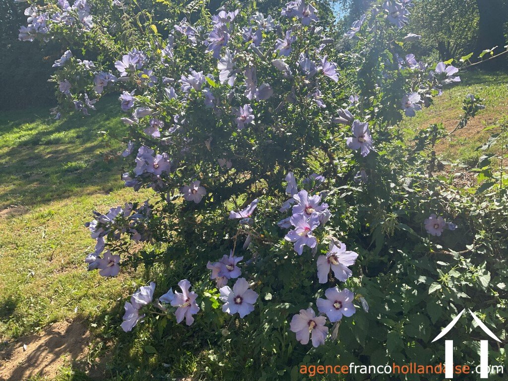 Maison à vendre beyssenac, limousin, Li929 Image - 51