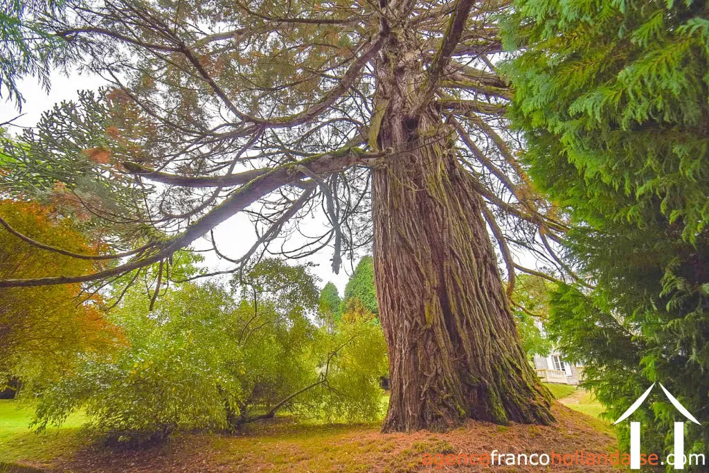 Manoir à vendre ussel, auvergne, Li944 Image - 75