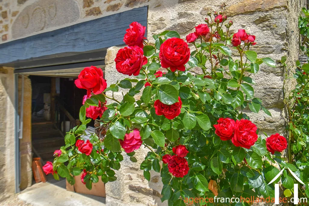 Maison à vendre chateauneuf la foret, limousin, Li990 Image - 38