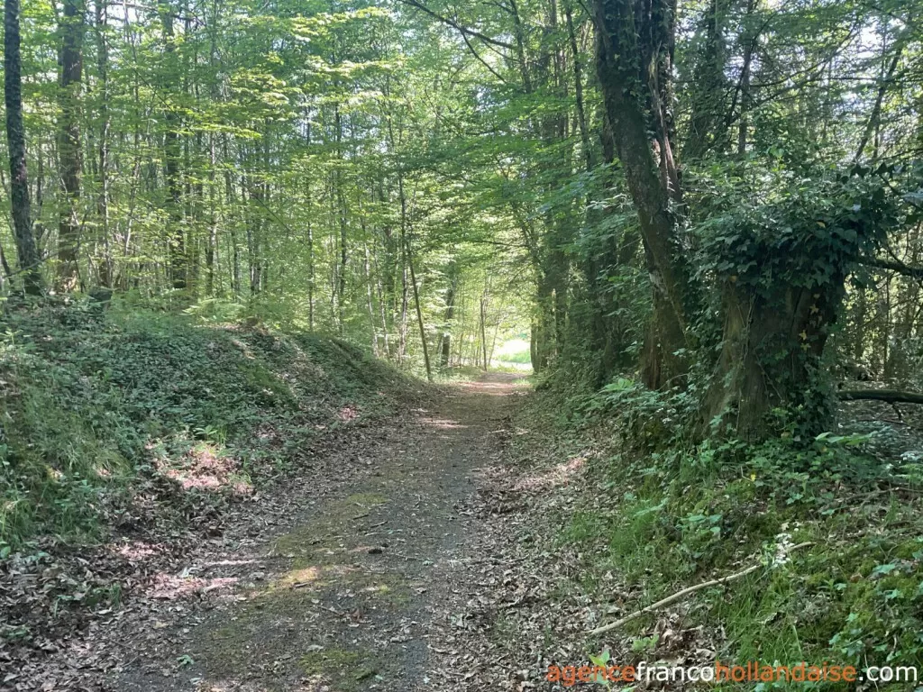 Maison à vendre , Li993 Image - 30