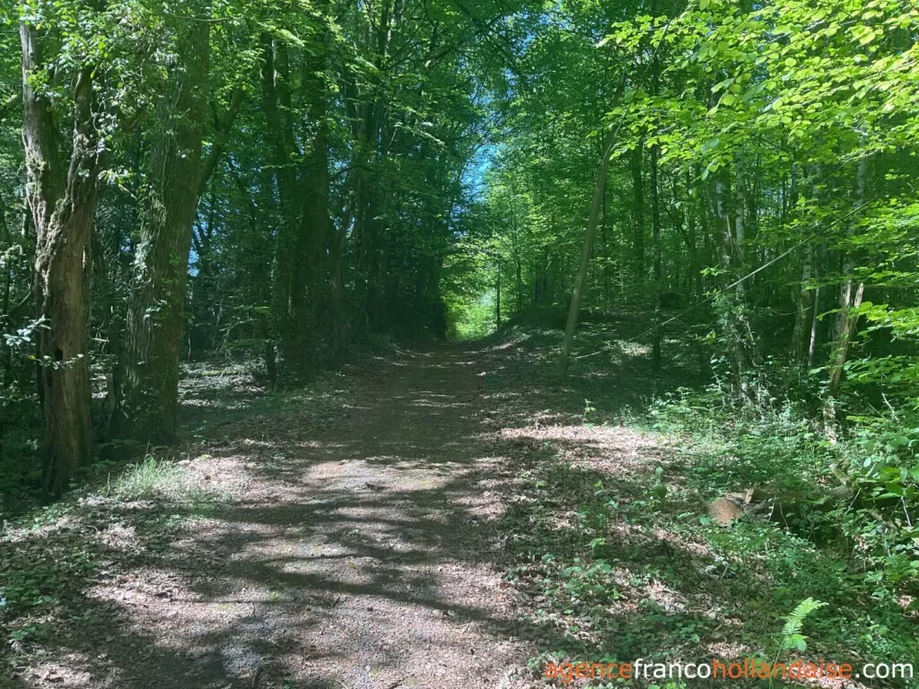 Maison à vendre , Li993 Image - 29