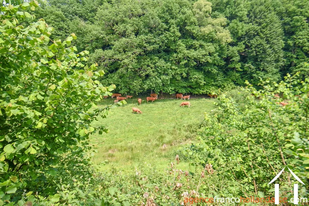 Maison à vendre rempnat, limousin, Li996 Image - 40