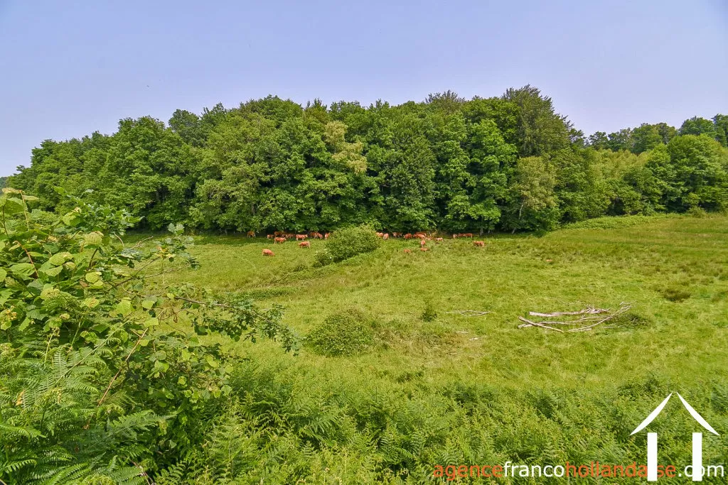 Maison à vendre rempnat, limousin, Li996 Image - 41