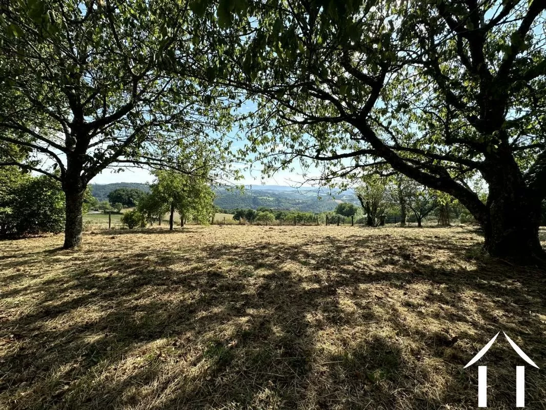 Maison en pierre à vendre arronnes, auvergne, AP030071120 Image - 8