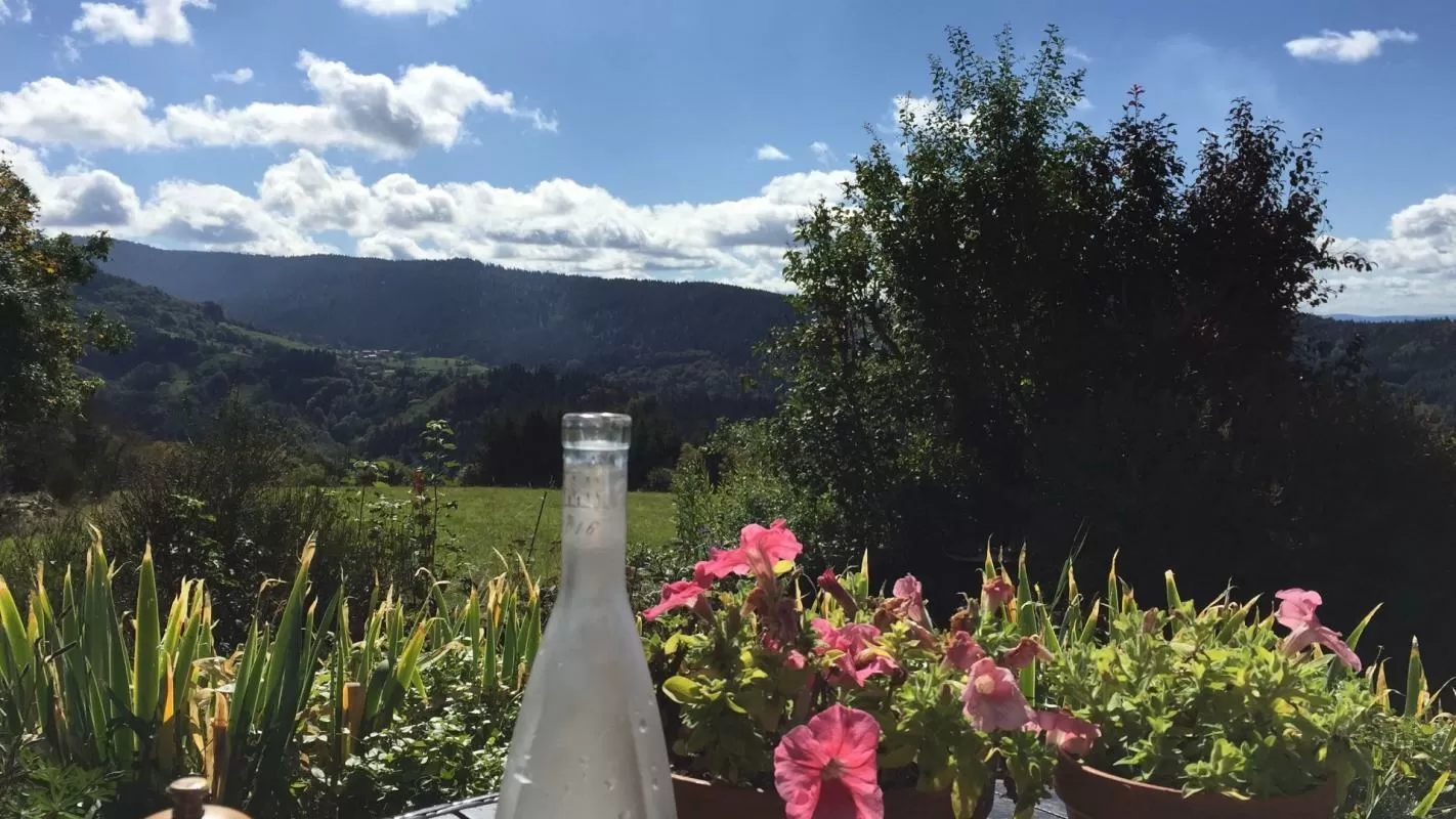 Maison en pierre à vendre valcivieres, auvergne, AP030071137 Image - 10