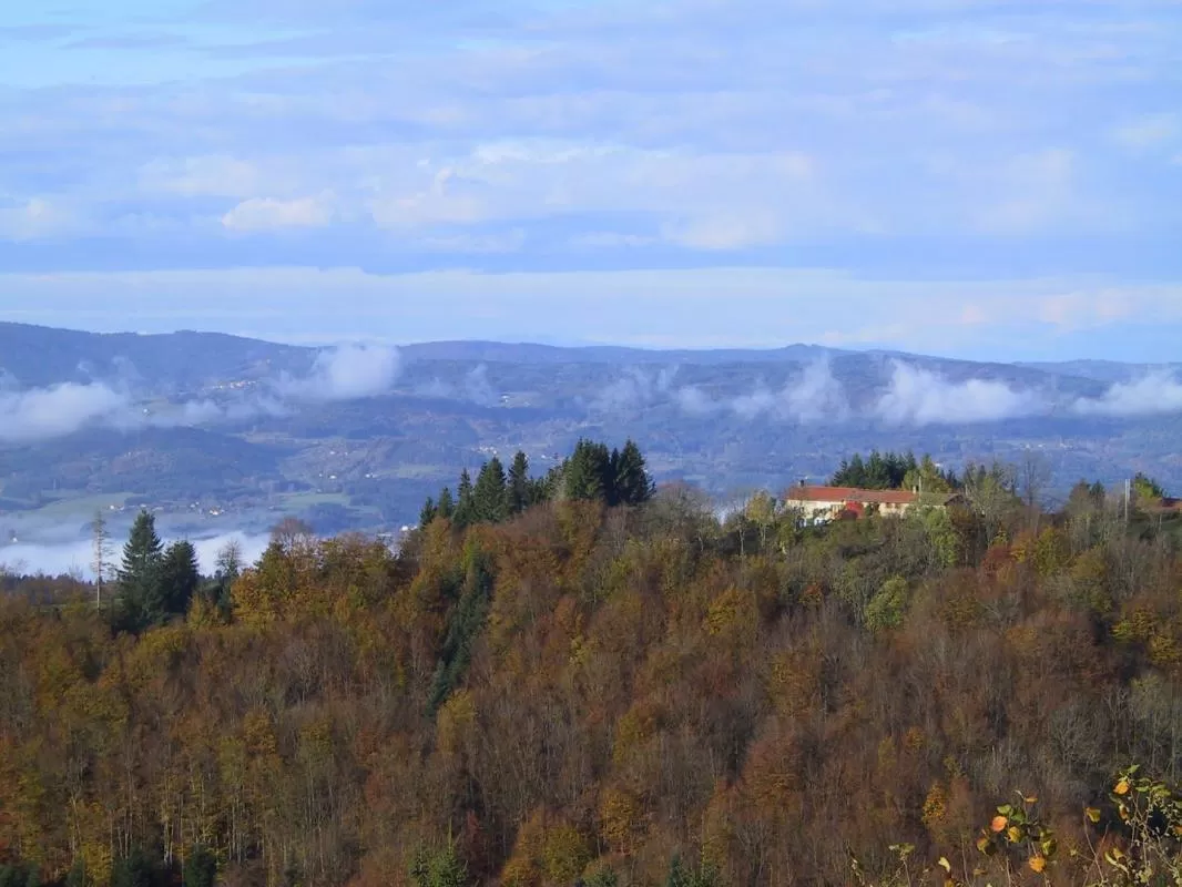 Maison en pierre à vendre valcivieres, auvergne, AP030071137 Image - 14