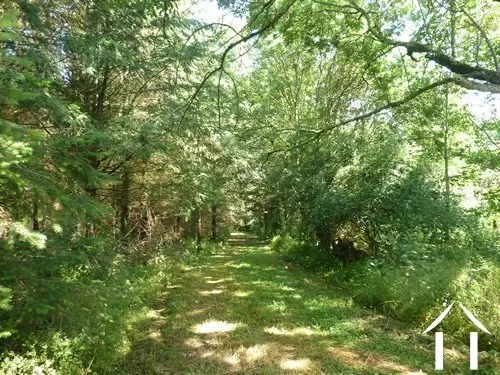 Maison à vendre louroux de beaune, auvergne, AP030071138 Image - 11