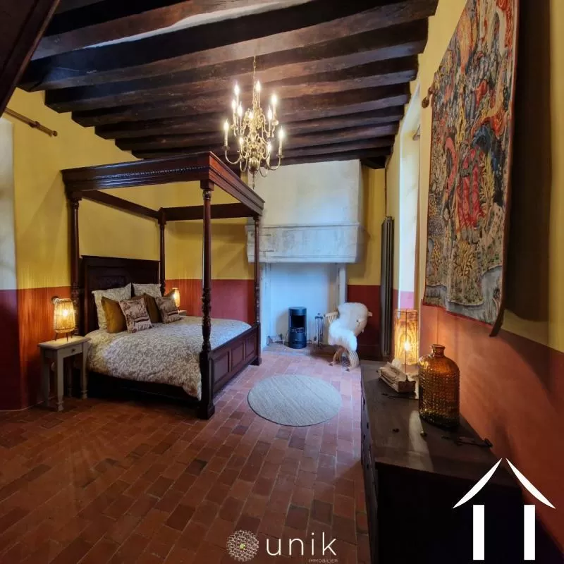 Château à vendre vicq, auvergne, AP030071140 Image - 5