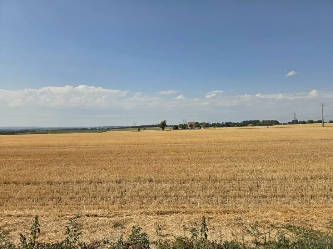 Propriété 1 hectare ++ à vendre sanssat, auvergne, AP030071199 Image - 13
