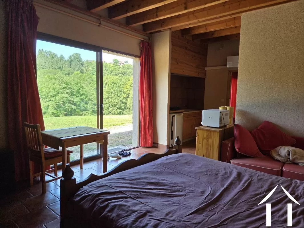 Châteaux, domaine à vendre arronnes, auvergne, AP03007176 Image - 3