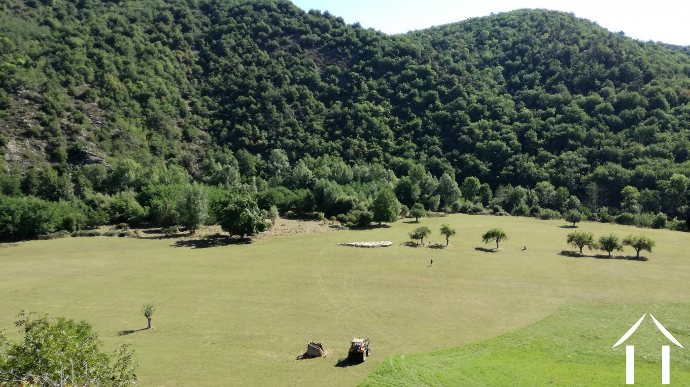 Propriété 1 hectare ++ à vendre blesle, auvergne, AP03007902 Image - 2