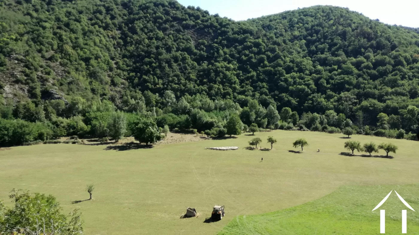 Propriété 1 hectare ++ à vendre blesle, auvergne, AP03007902 Image - 2