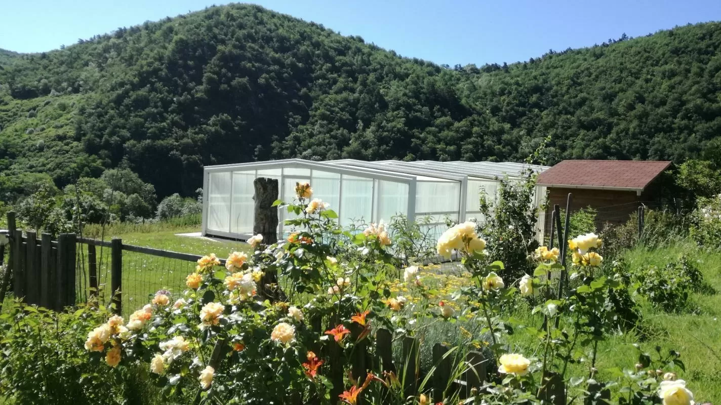 Propriété 1 hectare ++ à vendre blesle, auvergne, AP03007902 Image - 1