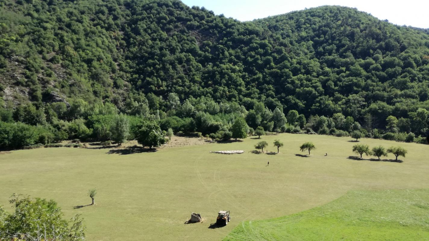 Propriété 1 hectare ++ à vendre blesle, auvergne, AP03007902 Image - 14