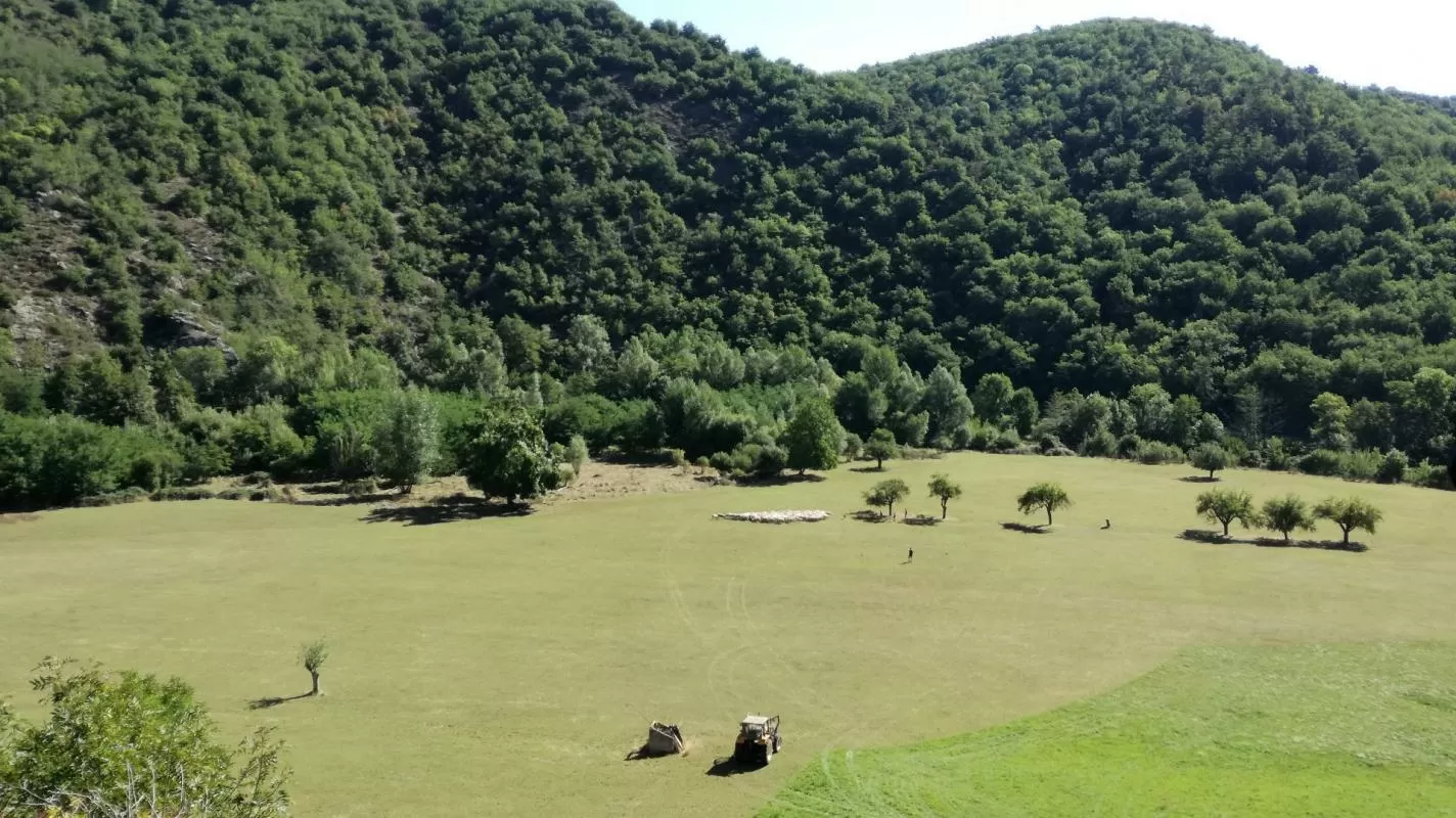 Propriété 1 hectare ++ à vendre blesle, auvergne, AP03007902 Image - 14