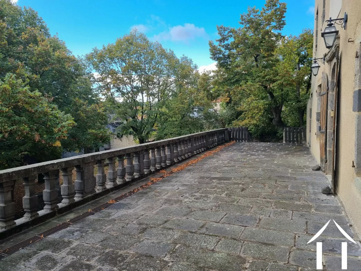 Châteaux, domaine à vendre antoingt, auvergne, AP03007945 Image - 19